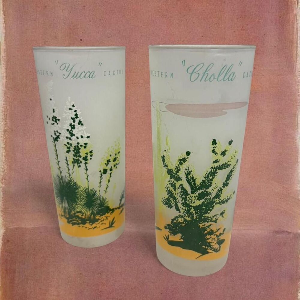 Vintage “Western” Cowboy Collectible Yucca Cholla Cactus Frosted Glass Tumblers